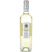 Corte Olivi Bianco di Custoza DOC 0.75