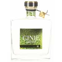 Ginie Mystic Touch 35% 0.70