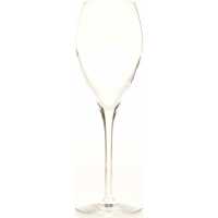 Mionetto Sektgläser 6x