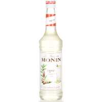 Monin Ingwer Sirup 1.00