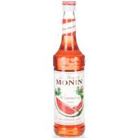 Monin Wassermelone Sirup 1.00