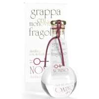 Nonino di Fragolino 45% 0.50