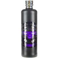 Rigas Balzams Currant 30% 0.50