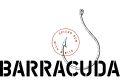 Barracuda